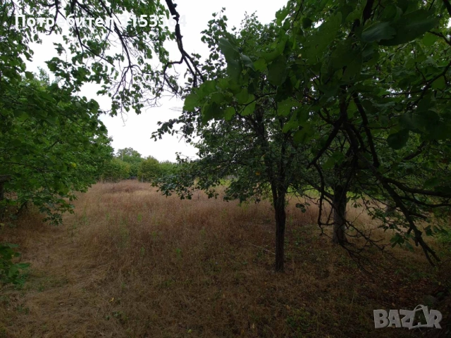 Продава се УПИ с вила и двор – с. Червен (долната част) 🌿, снимка 6 - Парцели - 51491513