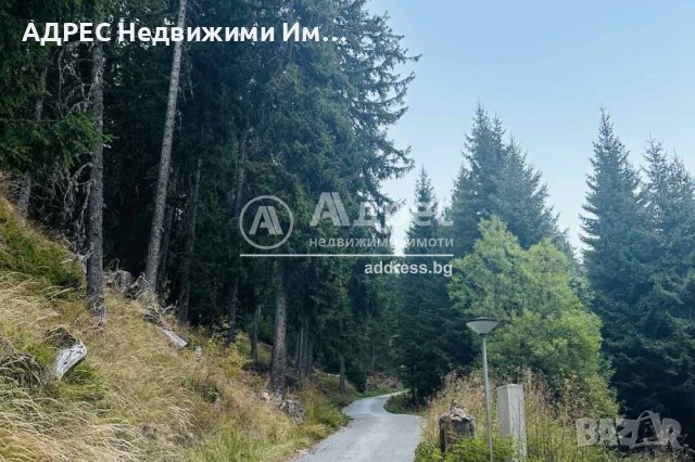 ПАРЦЕЛ за Инвестиция - Пампорово, снимка 5 - Парцели - 42339629