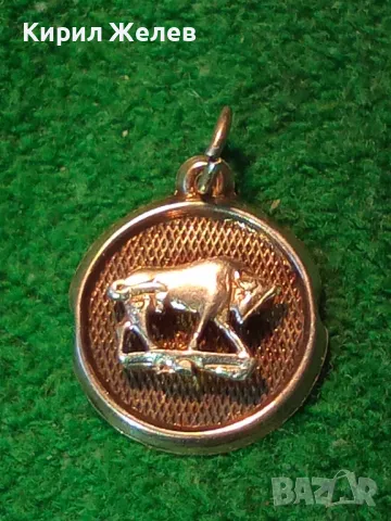 ЗОДИЯ ТЕЛЕЦ АСТРОЛОГИЧЕН СРЕБЪРЕН МЕДАЛЬОН СРЕБРО 925 ХУДОЖЕСТВЕНА РЕЛЕФНА РЪЧНА ИЗРАБОТКА 22198, снимка 14 - Колиета, медальони, синджири - 49704748