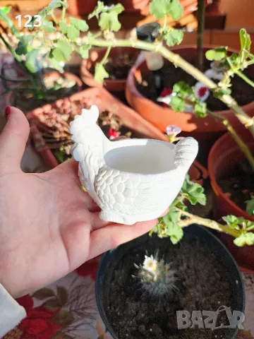 кокошка по заявка