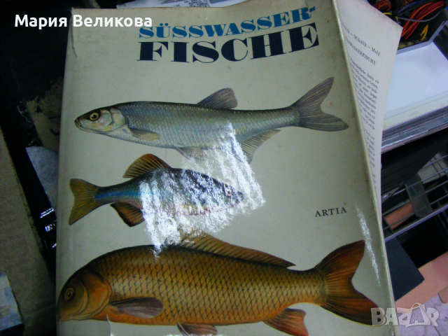 Книги на немски език, снимка 3 - Енциклопедии, справочници - 44728217