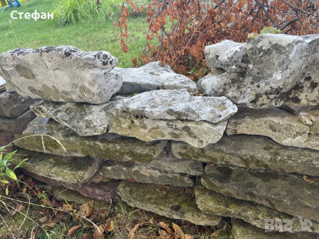 Камъни за алпинеум, снимка 7 - Градински мебели, декорация  - 51324424