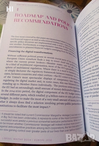 Бяла книга - Развитие на либерализма до 2030 г., снимка 3 - Специализирана литература - 51640969