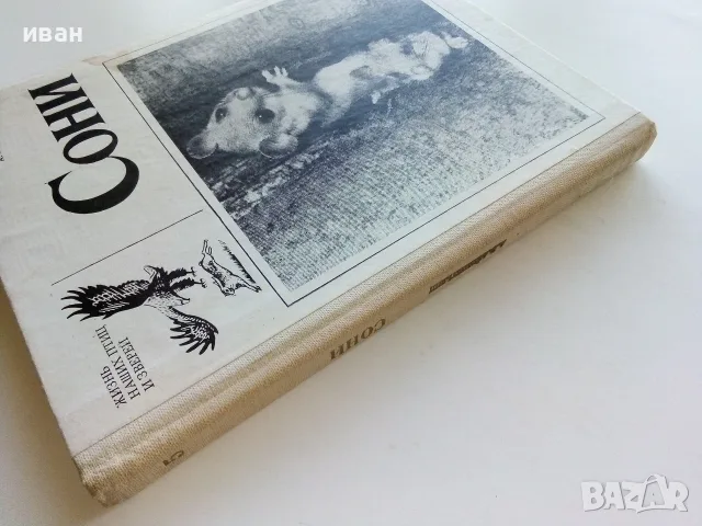 Сони - А.Е.Айрапетьянц - 1983г., снимка 11 - Наука, техника и компютри - 56207943