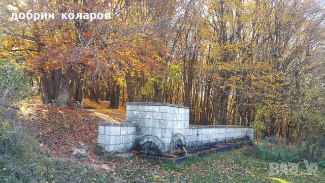 ПРОДАВАМ ПАРЦЕЛ 7 ДКА село Яребична 10 км.от гр.Варна, снимка 2 - Земеделска земя - 39958605