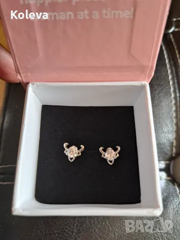 Сребърни обеци , снимка 3 - Обеци - 49864482