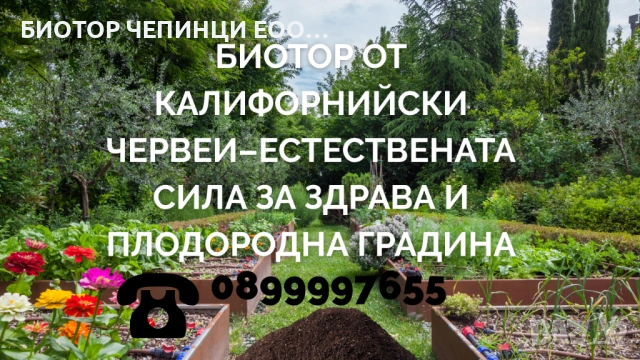 🪱 Биотор от калифорнийски червеи–естествената сила за здрава и плодородна градина