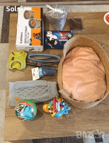 мини йорки , снимка 10 - Йоркширски териер - 52829227