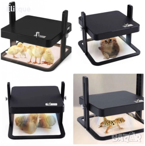 Нагревателна плоча за пиленца – регулируема температура, безопасност и енергийна ефективност, снимка 8 - Друга електроника - 52716536