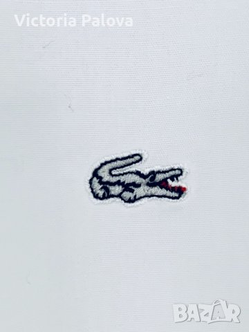 Бяла риза LACOSTE оригинал, премиум-памук, снимка 2 - Ризи - 36702430
