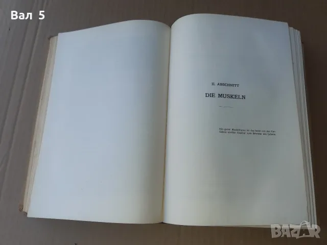 Стар учебник АНАТОМИЯ НА ЧОВЕКА 1935 г - 880 стр . РЯДЪК !!!, снимка 6 - Специализирана литература - 55991969