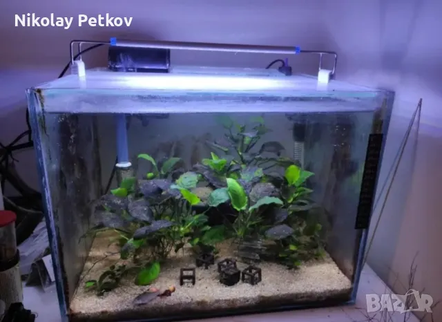 Специализирани аквариумни лампи, снимка 8 - Оборудване за аквариуми - 50291364