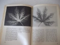 Книга "Фототрикове - Алфред Улман" - 180 стр., снимка 6
