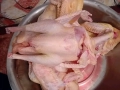 Свободни домашни пуйки гр.хасково 0877222145, снимка 2