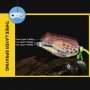 НАМАЛЕНИЕ! Силиконова жаба с кука двойка HUIZHU 15 грама, снимка 8