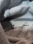 Спортен суитчър, снимка 2