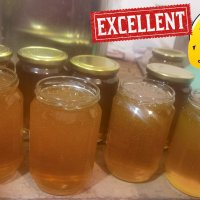 Продавам полифлорен пчелен мед - 8 лв. на буркан с винтова капачка, снимка 5 - Пчелни продукти - 15252670