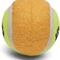 Комплект Тенис топка за куче Amazon Basics TB-12 12 броя Pet Tennis Ball играчка за домашен любимец, снимка 3 - За кучета - 40788675