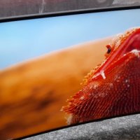 Телевизор LED Smart Samsung, 50" (127 cм), 4K Ultra HD, снимка 4 - Телевизори - 35450338
