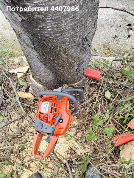 поваляне, рязане и цепене на дърва, чистене на дворове, снимка 1