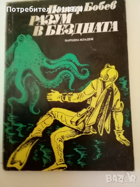 Разум в бездната Петър Бобев Народна младеж 1979 г меки корици , снимка 1