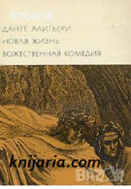 Библиотека всемирной литературы номер 28: Новая жизнь. Божественная комедия, снимка 1