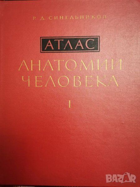 Атлас Анатомии человека, Р. Д. Синельников, снимка 1