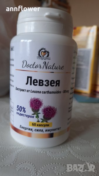 Левзея , снимка 1