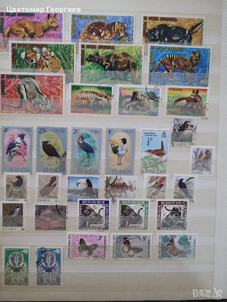 Класьор с марки /животни/ 650 бр ., снимка 1