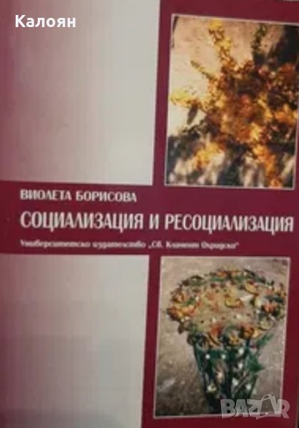 Виолета Борисова - Социализация и ресоциализация (2001), снимка 1
