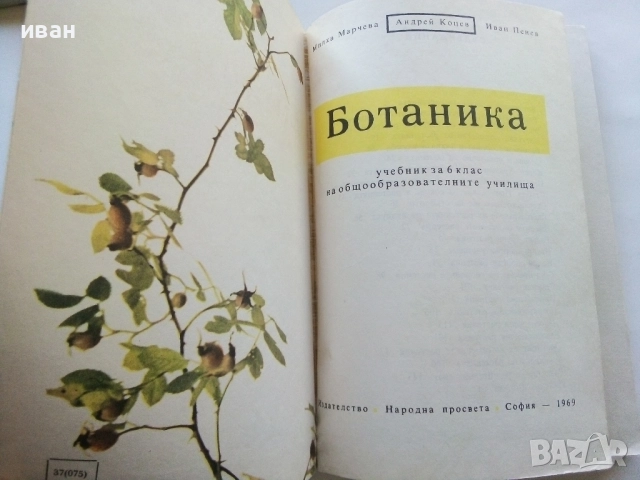 Ботаника за 6.клас - М.Марчева,А.Коцев,И.Пенев - 1969г., снимка 2 - Учебници, учебни тетрадки - 52403189
