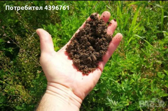 земеделска земя в с.Оризаре, снимка 1