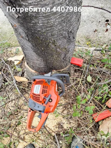 поваляне, рязане и цепене на дърва, чистене на дворове