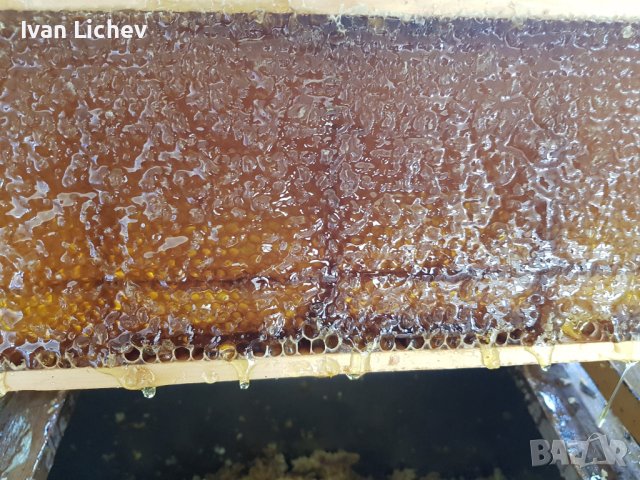 Предлагам пчелен мед, снимка 4 - Други стоки за дома - 42065377