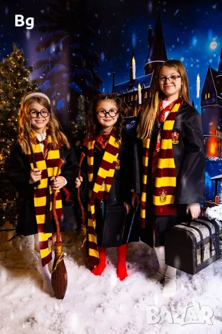 Harry Potter Шапка,Сова,снич и метли Nimbus 3000, снимка 12 - Подаръци за рожден ден - 55955413