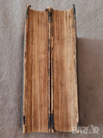 Книги Наполеон Всемирний победител 1ви и 2 ри том, антикварни. , снимка 4 - Художествена литература - 50737063