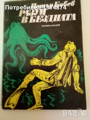 Разум в бездната Петър Бобев Народна младеж 1979 г меки корици , снимка 1