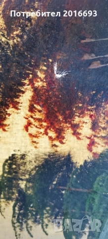 Голяма картина масло-платно, снимка 12 - Картини - 48464009