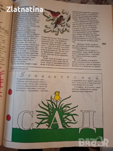 Пачемучка, снимка 2 - Детски книжки - 51406985