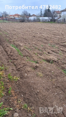 Продавам дворно място в с. Скутаре, снимка 3 - Парцели - 54030331