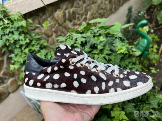 10Days Amsterdam — номер 39