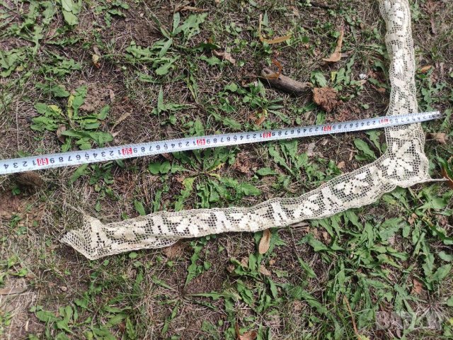 Продавам Дантела ивица, снимка 2 - Други - 38013824