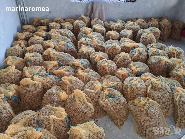 Гаци за орехи (чували за орехи), снимка 3 - Други - 56090794
