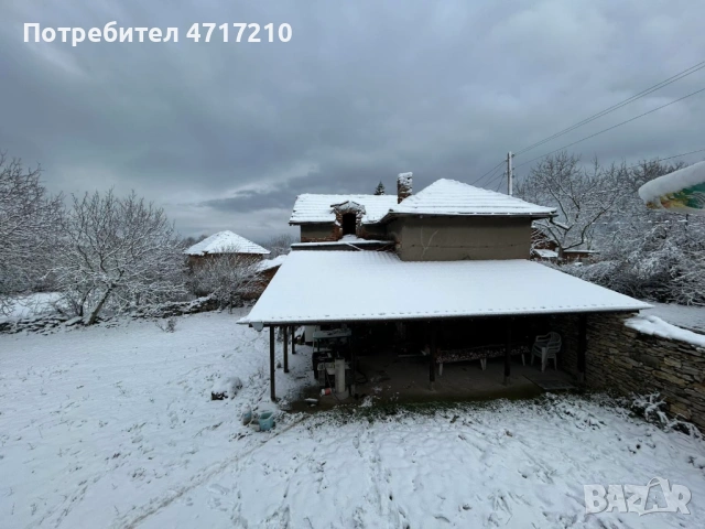 ПРОДАВА имот в с. Бресте, общ. Червен Бряг – 2500 кв.м., ДВЕ КЪЩИ, два двора, снимка 11 - Къщи - 53324328