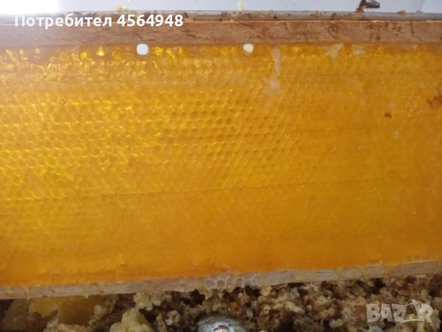 Пчелен мед от Странджа 7,00 лева за 1 килограм в буркан 