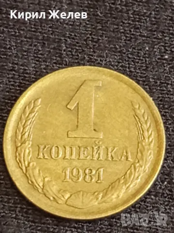 Стара монета 1 копейка 1981г. СССР рядка за КОЛЕКЦИЯ ДЕКОРАЦИЯ 39195, снимка 3 - Нумизматика и бонистика - 48009296