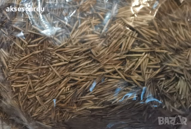 Семена от гигантски бамбук Moso Bambo градински сертифицирани декоративни растения за дома и двора б, снимка 17 - Разсади - 38062500