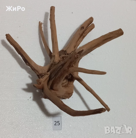 Корен от Азалия /декорация/ 25, снимка 3 - Други - 53396788