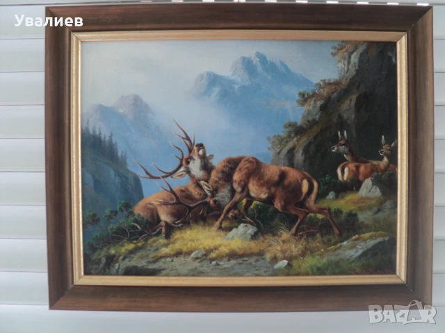 Картини на животни - репродукции, снимка 6 - Картини - 31437451