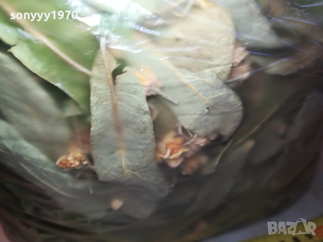 ЛИПОВ ЧАЙ-ГОЛЯМ ПЛИК 0603241644, снимка 6 - Домашни продукти - 44638119